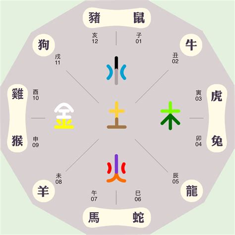 紫字五行|紫字的五行属性